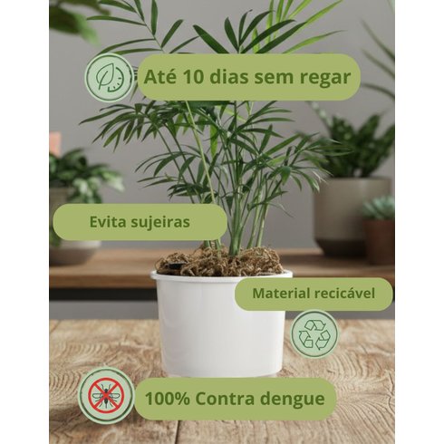 vaso auto irrigavel n 02 pequeno raiz branca 2