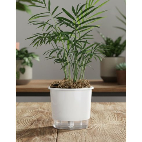 vaso auto irrigavel n 02 pequeno raiz branco