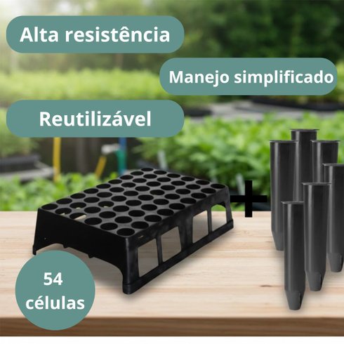 kit bandeja 54 celulas