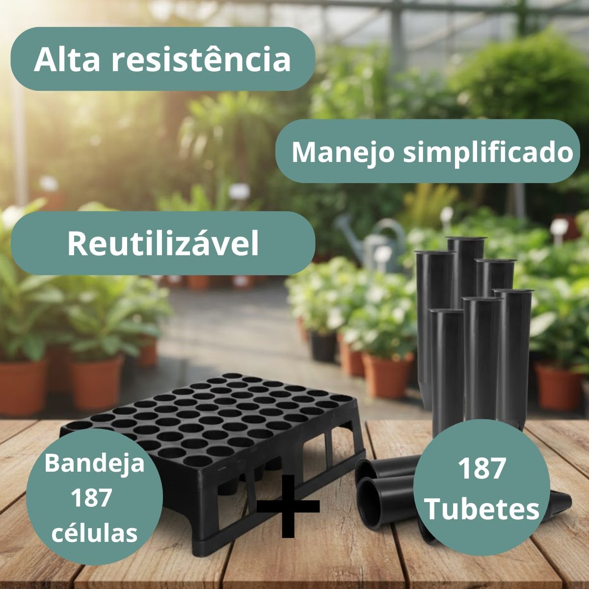 Kit Bandeja Caixa 187 Células + 187 Tubetes 55 cm3