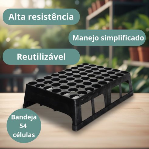 kit bandeja 54 celulas