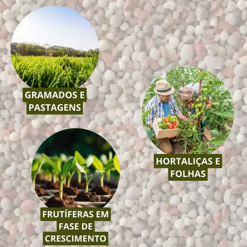 fertilizante 46 00 00 ureia 3