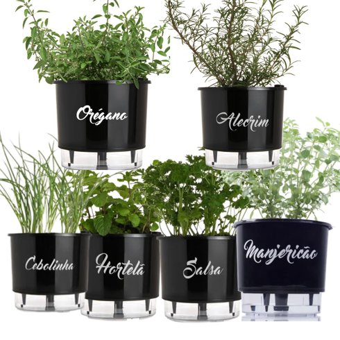 kit 6 vasos gourmet raiz 1