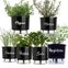 kit 6 vasos gourmet raiz 1