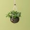 cachepo due n6 cuia 21 24 0 x 14 00 raiz cor verde militar 2