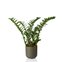 cachepo due n7 pote 24 25 5 x 25 7 raiz basalto