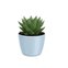 vaso cachepo de plastico elegance redondo n 1 nutriplan cor 2