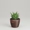 vaso cachepo de plastico elegance redondo n 1 nutriplan cor cafe imperial 2