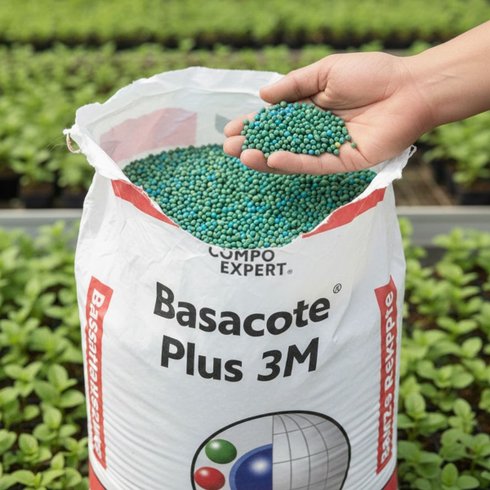 basacote 3m 18 08 12