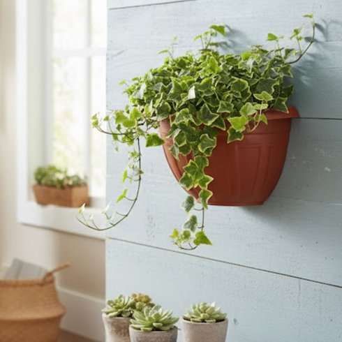 vaso de parede florenca 1 7 litros rischioto telha 2