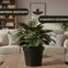 vaso redondo floratta nr 33 16 5 l rischioto 2 preto