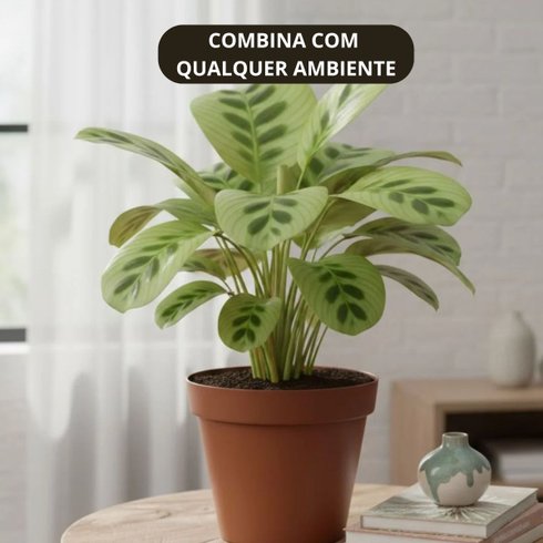 vaso redondo floratta nr 33 16 5 l rischioto 3 telha