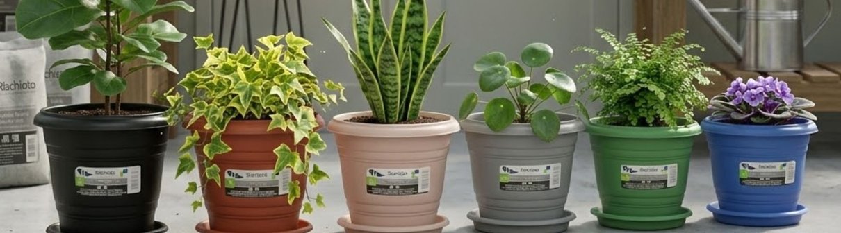 RISCHIOTTO REDONDO DESCRICAO