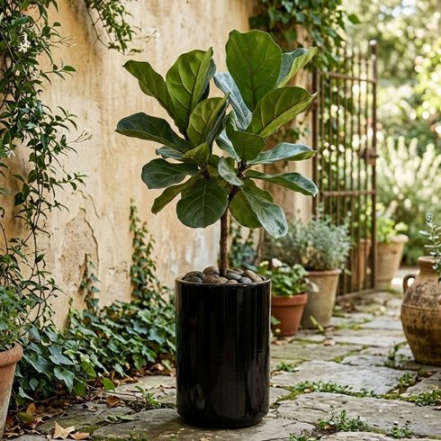vaso de polietileno classic cilindrico 55 nutriplan cor preto 2