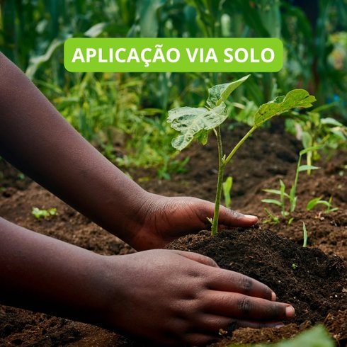 fertilizante primegarden hortalicas 4
