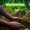 fertilizante primegarden hortalicas 4
