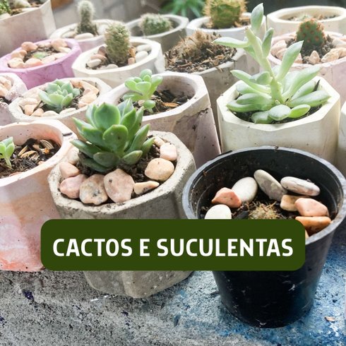 fertilizante 9m plus 1kg 5