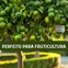 fertilizante 9m plus 1kg2