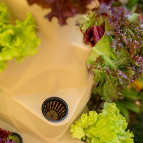 torre hidroponica grande 220v usare2