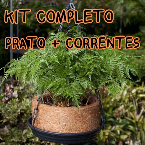 nutricoco n03 2