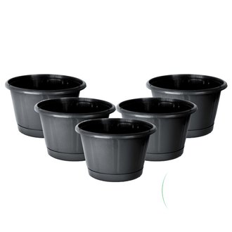 Vaso Cuia Nobre 01 c/ Prato Nutriplan Preto