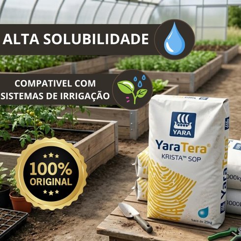 yara krista sop 00 00 50 2