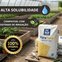 yara krista sop 00 00 50 2