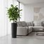 vaso polietileno classic cone 70 nutriplan cor preto uso 1
