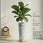vaso de polietileno classic cone 100 nutriplan cimento marmorizado info