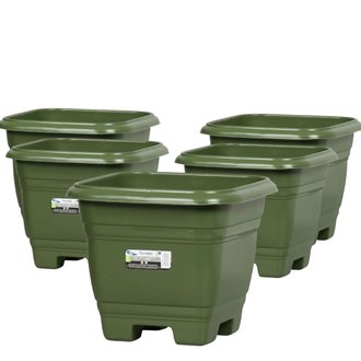 Kit Vaso Quadrado N 22 Rischioto Verde