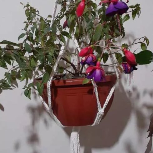 cuia florenca 7 5 litros rischioto telha uso 1