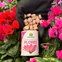 vitaplan pastilhas flores