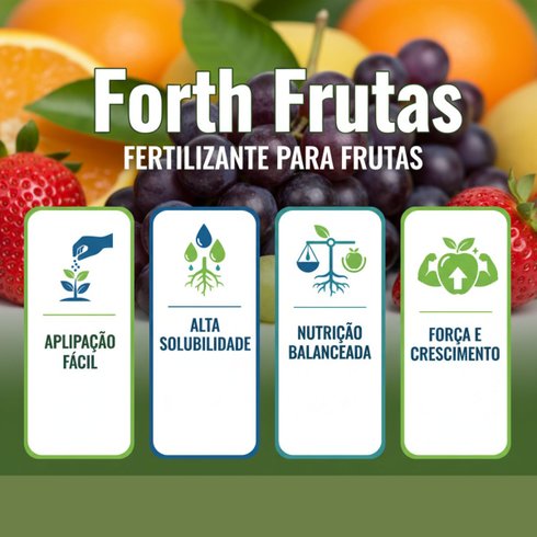 forth frutas 3kg infos