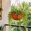 cuia rischiotto 7 5 l com haste marrom ambientada