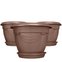 vaso romano 02 com prato nutriplan capa 3