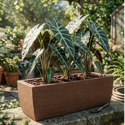 vaso grafiato jardineira n 63 ambientada