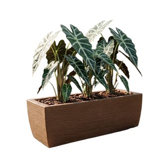 Vaso de Polietileno Jardineira Grafiato N 63 Nutriplan Cor