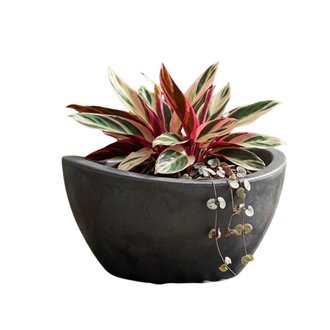 Vaso de Polietileno COPACABANA BOWL 30 x 16 cm Vasart
