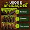 substrato golden mix 47 fibra de coco amafibra 107 litros usos e aplicacoes