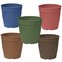 kit vasos aquarela 3 5 sem prato cores novas capa fundo branco