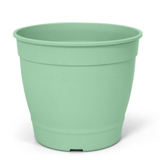 Vaso Aquarela S/ PRATO N 2,5 Nutriplan