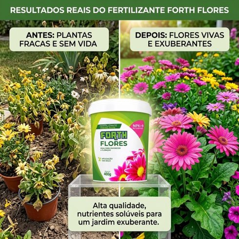 forth flores antes x depois