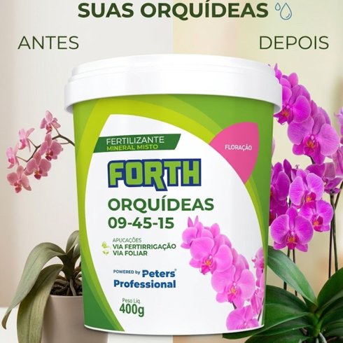 forth orquideas 400g antes x depois