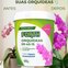 forth orquideas 400g antes x depois