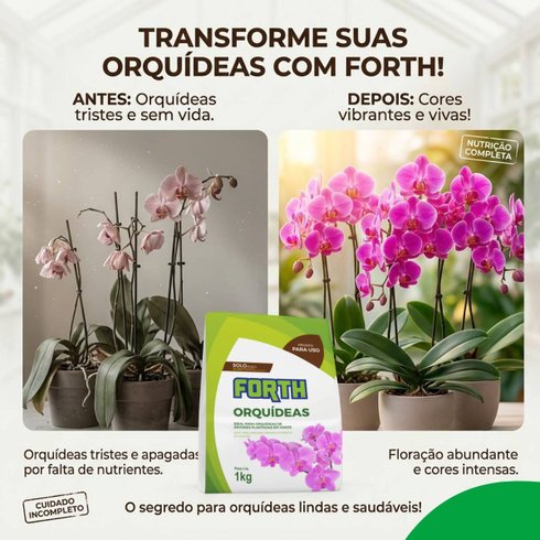forth orquideas 1kg antes x depois
