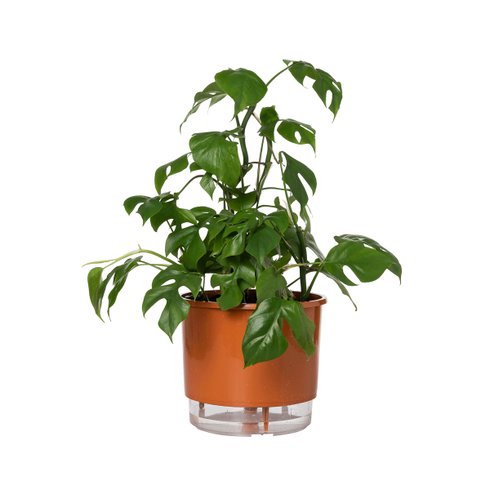 vaso auto irrigavel reciclado n4 21 x 19 cm colecao terrazo raiz cor terracota 2
