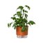 vaso auto irrigavel reciclado n4 21 x 19 cm colecao terrazo raiz cor terracota 2