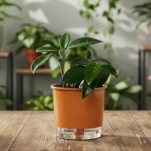 vaso auto irrigavel reciclado n4 21 x 19 cm colecao terrazo raiz cor terracota 3