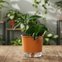 vaso auto irrigavel reciclado n4 21 x 19 cm colecao terrazo raiz cor terracota 3