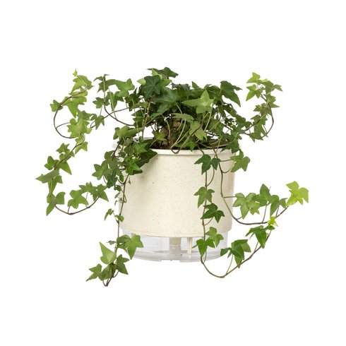 vaso auto irrigavel reciclado n4 21 x 19 cm colecao terrazo raiz cor calcario 2